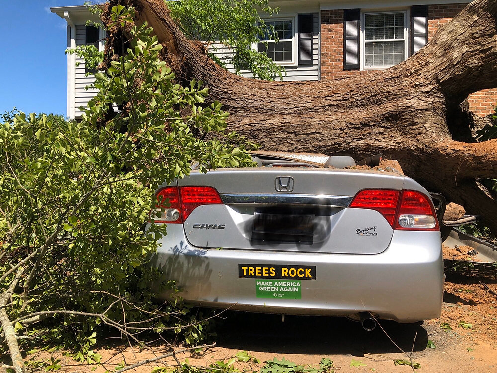 It’s Electric! Make American Green Again