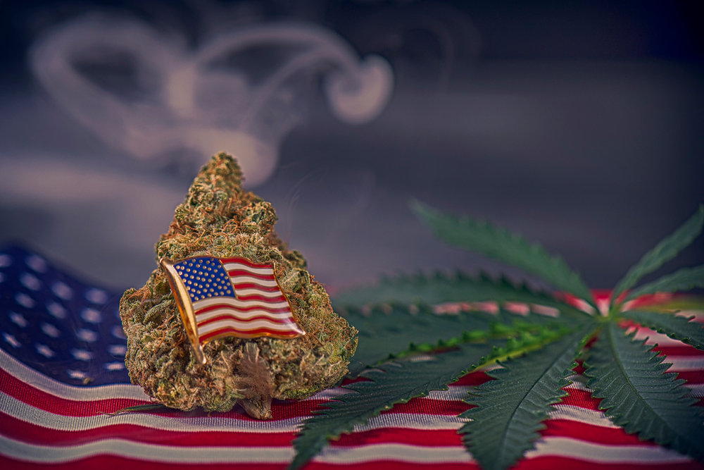 Cannabis Dispensary: GreenTV!