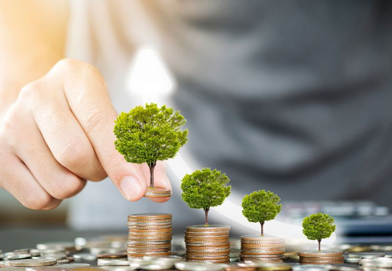 DELAWARE: BECOME A INVESTOR!