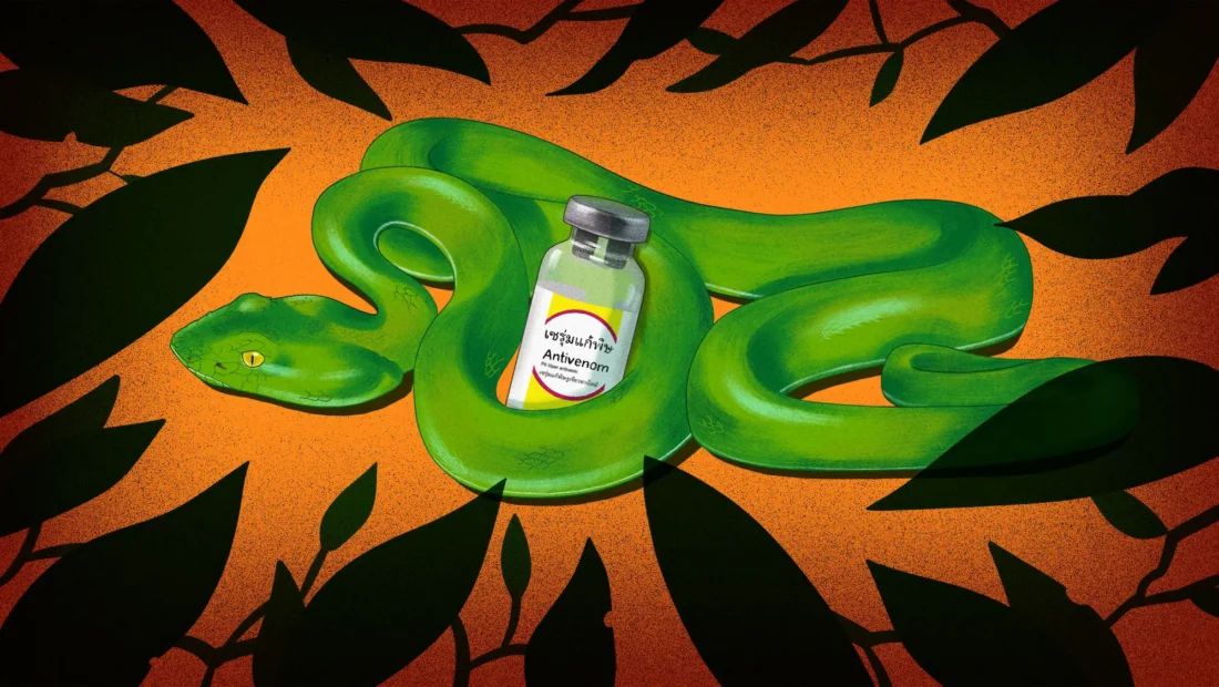 As the world warms, the risk of snakebites is rising