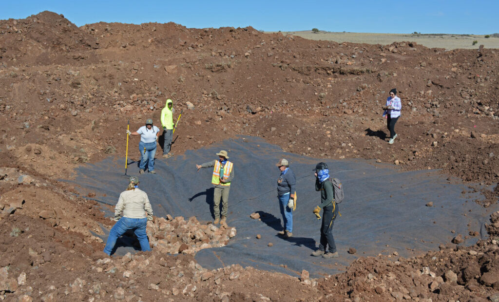 Can Clusters of Human-Constructed Ponds in the Arizona Desert Save a Threatened Frog?