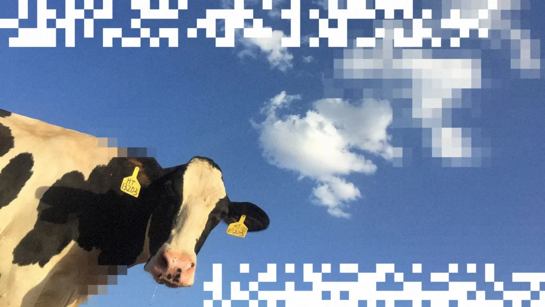 Cow manure could be the next data center fuel