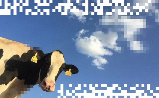 Cow manure could be the next data center fuel