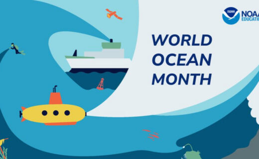 Dive into the Ocean Literacy Principles with NOAA resource collections