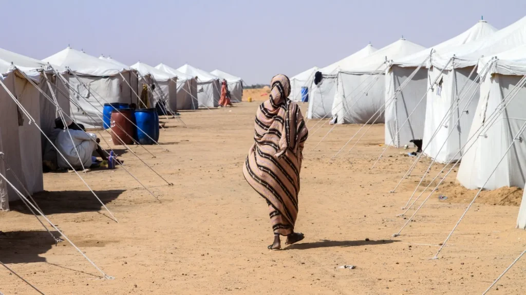 ‘Every day it’s more barriers’: how the US is shutting out climate refugees