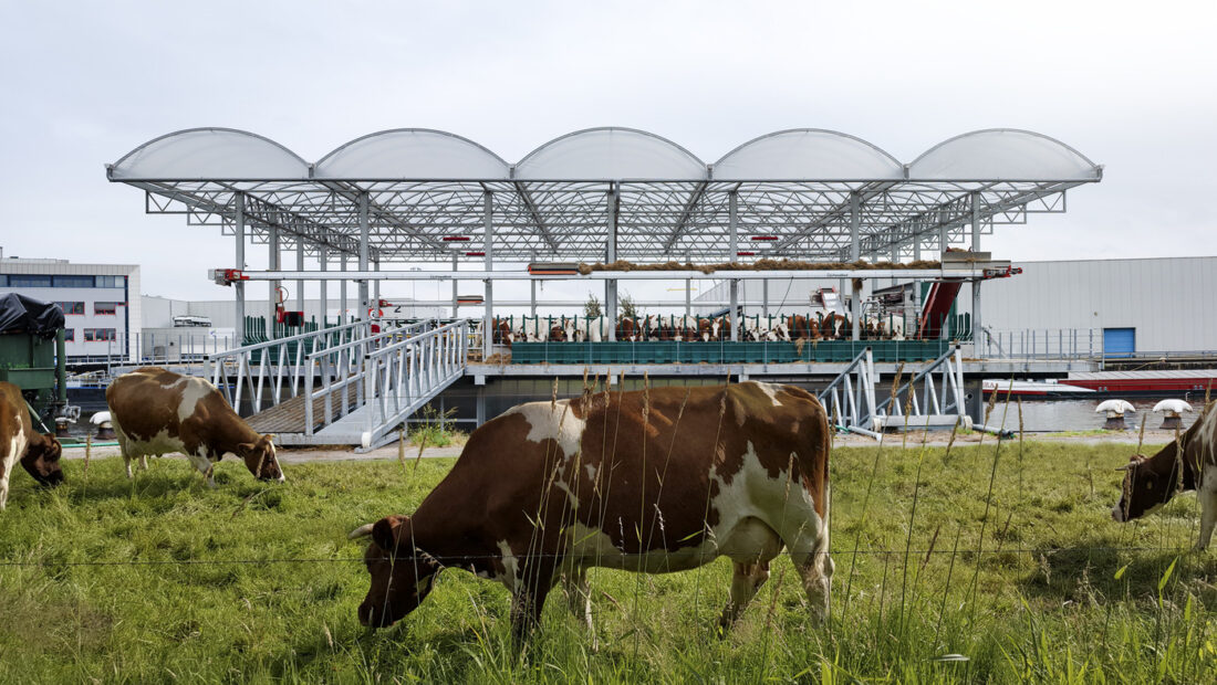 Feeding the Land: What We Eat Built the World We Inhabit