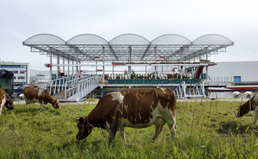 Feeding the Land: What We Eat Built the World We Inhabit