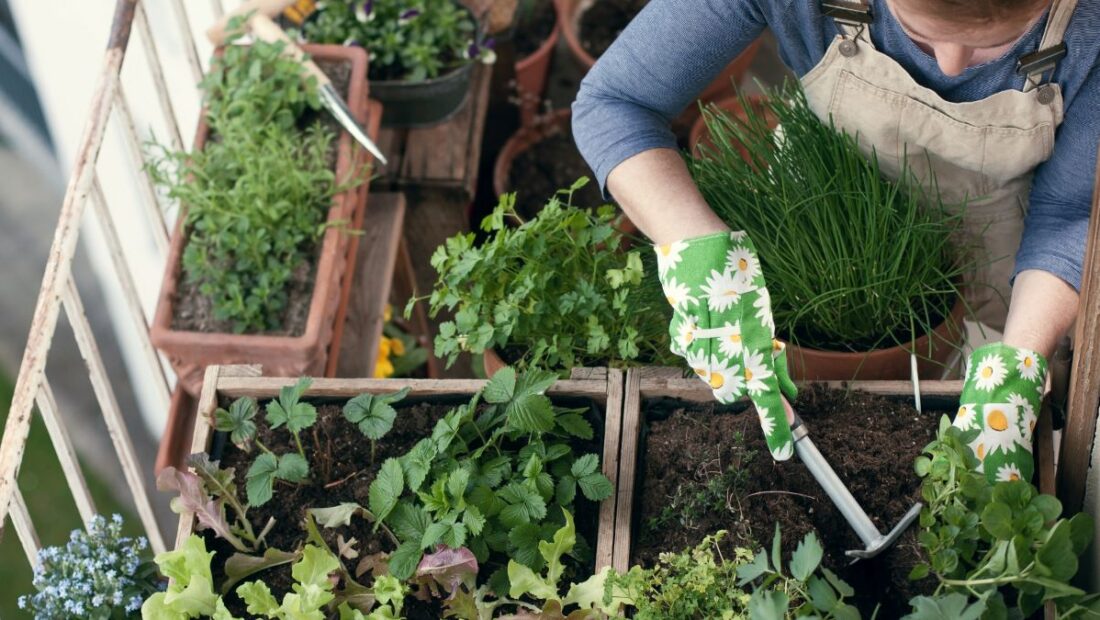 How To Grow Lots of Veggies in Small Spaces