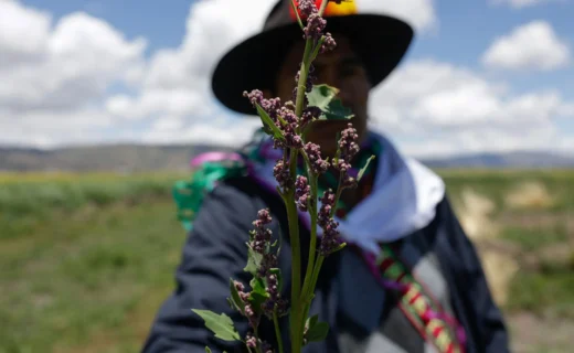Indigenous cultural practices are a climate solution, report finds