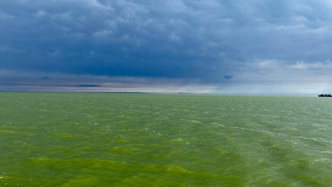 Lake Erie harmful algal bloom seasonal forecast to be issued June 25
