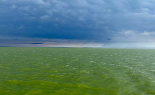 Lake Erie harmful algal bloom seasonal forecast to be issued June 25