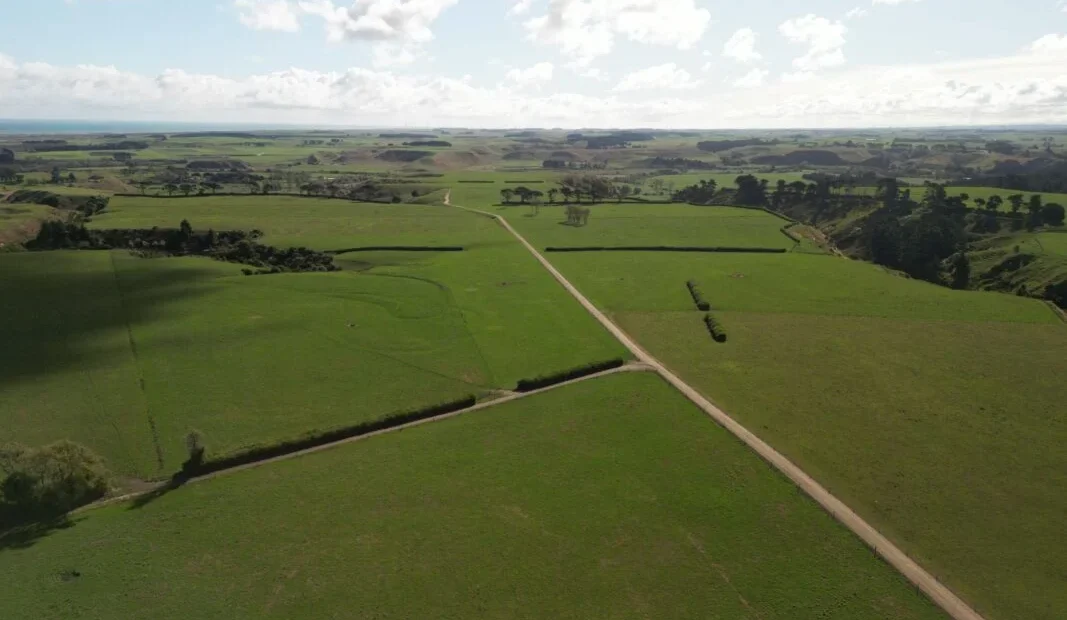 Meridian Energy’s 622MW Waiinu hybrid project enters New Zealand fast-track consenting pathway