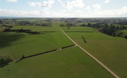 Meridian Energy’s 622MW Waiinu hybrid project enters New Zealand fast-track consenting pathway