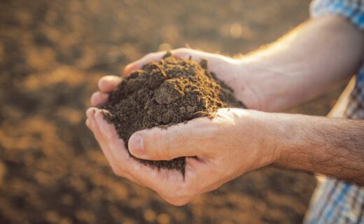 Soil Your Undies … To Find Out How Healthy Your Soil Is