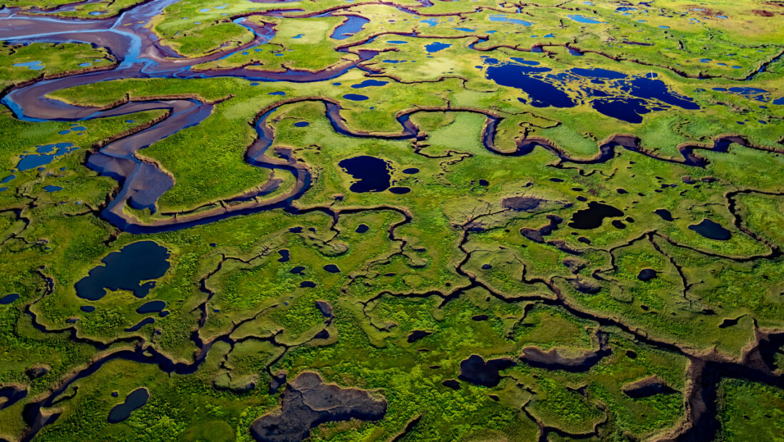 The coast is clear-er: NOAA unveils new land cover maps 900 times greater in detail