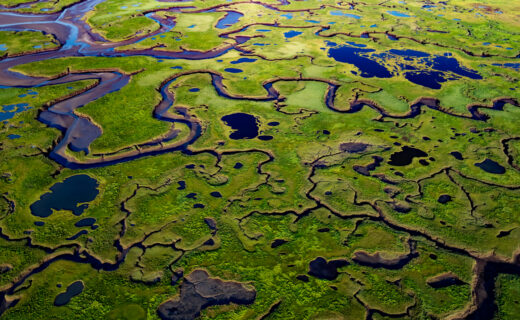 The coast is clear-er: NOAA unveils new land cover maps 900 times greater in detail