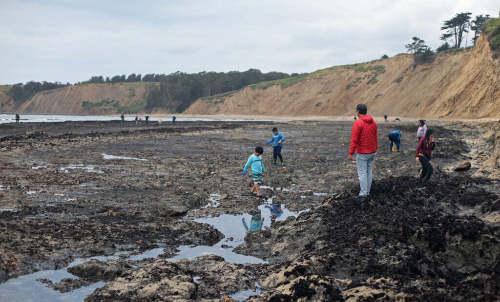 The Future of Duxbury Reef