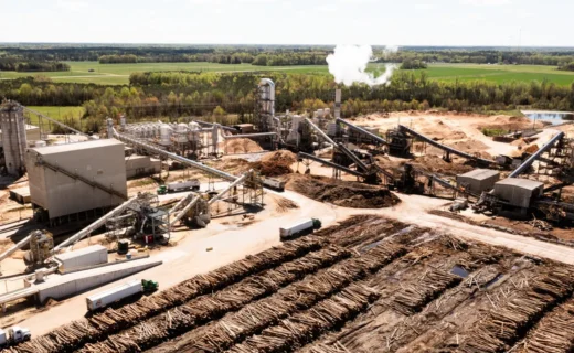 The hidden toll of wood pellet power