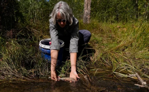 Trout, farmers, and cities are competing for the same water in the Southwest