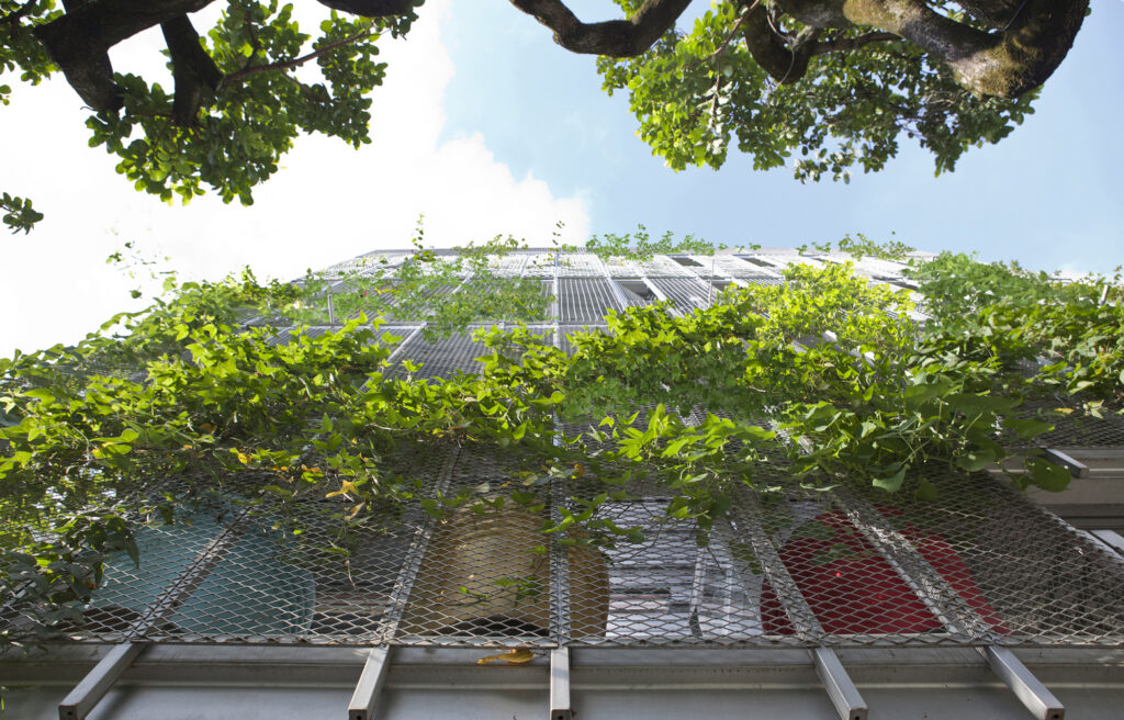 When Façades Become Habitats: Architecture Making Room for Other Species