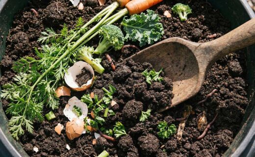 Yard Waste: Composting’s Success Story With a Methane Asterisk