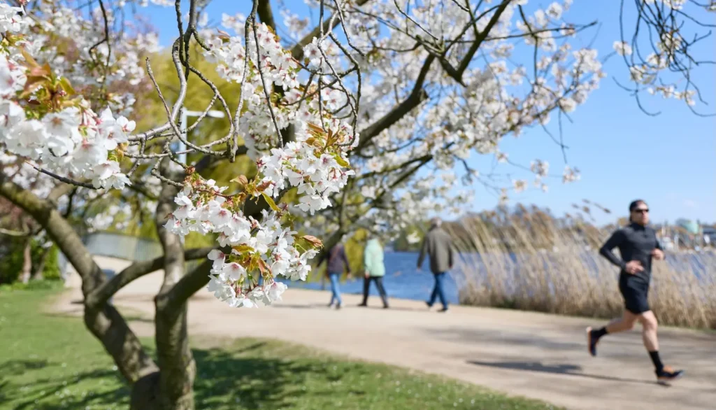 Your local park is bringing in the green (and by that, we mean money)
