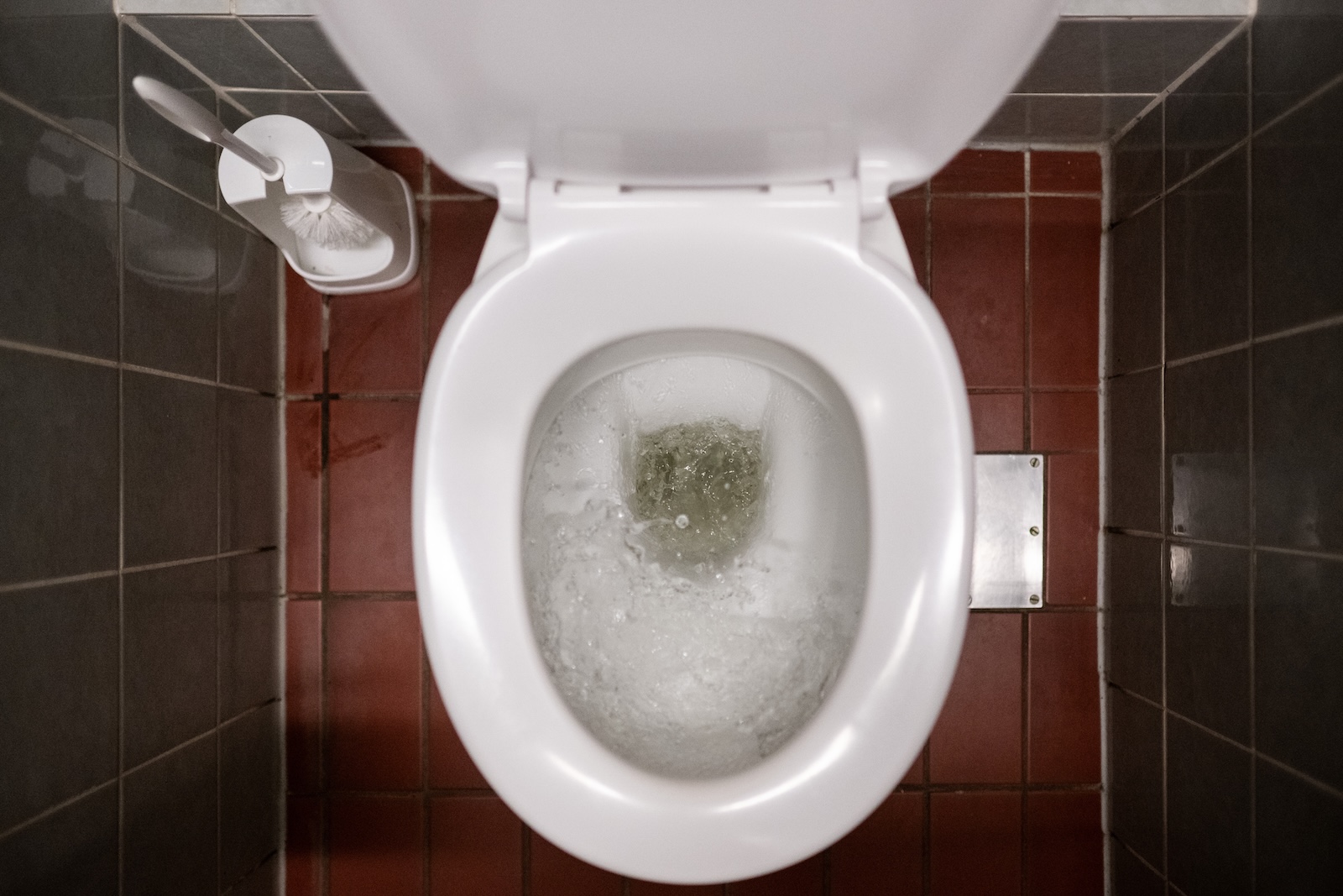 4 things to know about cyclospora and climate change 