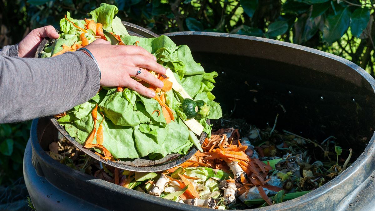 Cheat Sheet: Composting