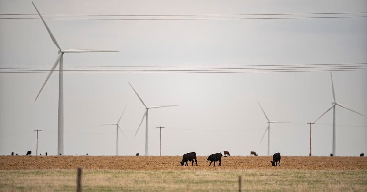 States join fight against Trump administration’s wind farm blockade