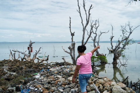 UN seabed regulator defends authority as mining firms seek to halt inquiry