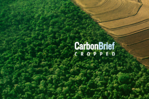 Cropped 15 July 2026: Uganda starves | Trump opens endangered habitats | UK cuts rainforest aid