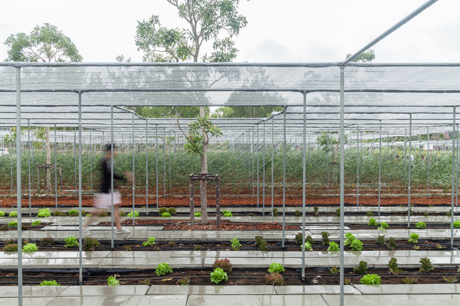 Neither Farm Nor Hotel: Why Agritourism Needs Its Own Architectural Typology