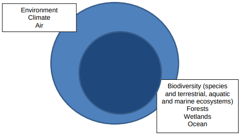 Analysis: 84% of nations miss deadline to identify ‘nature-harming’ subsidies by 2025 