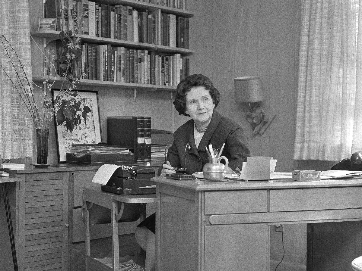 Why the Sunrise Movement reorganized to fight authoritarianism