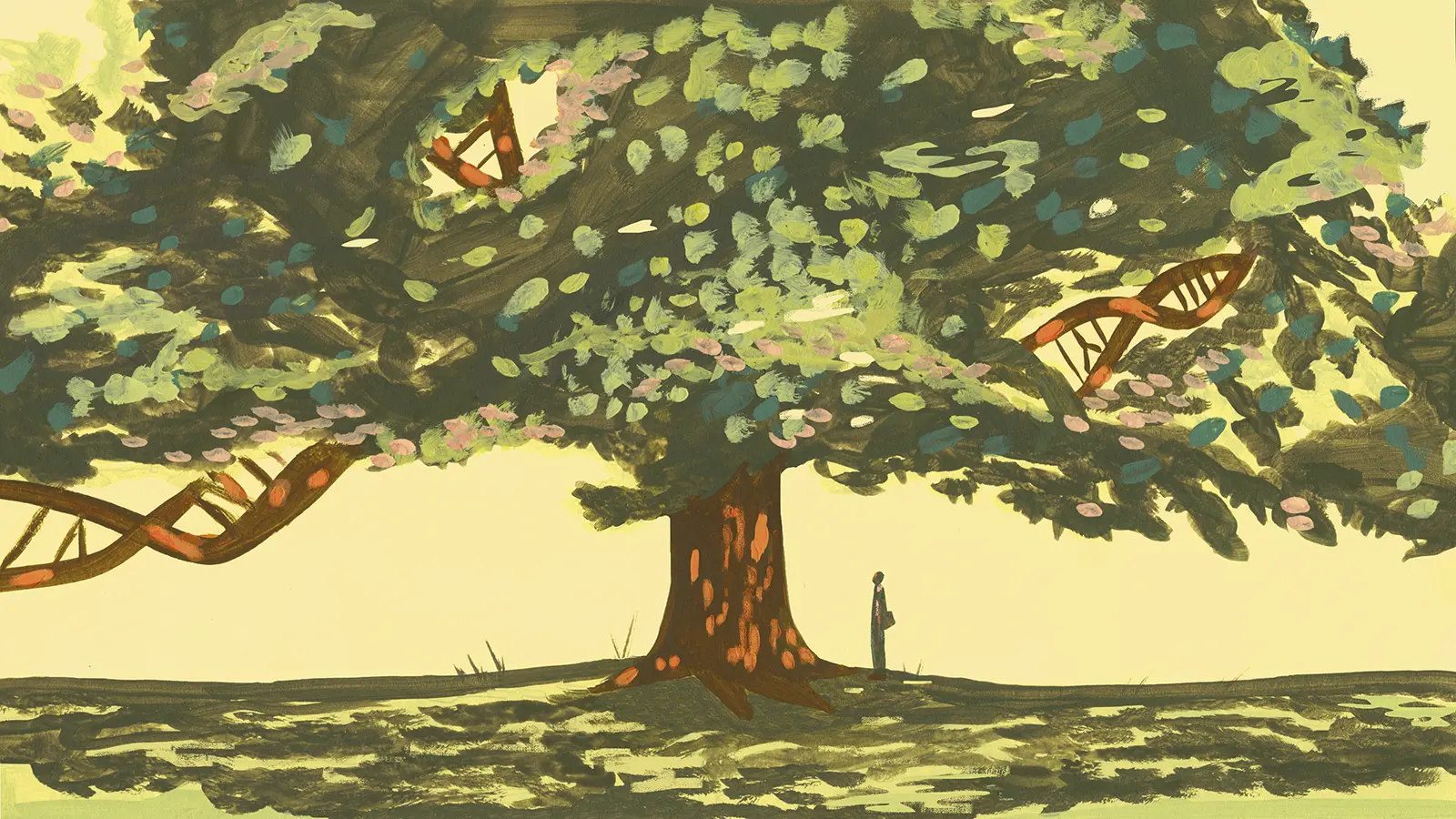 The deadly experiment that could save the American elm
