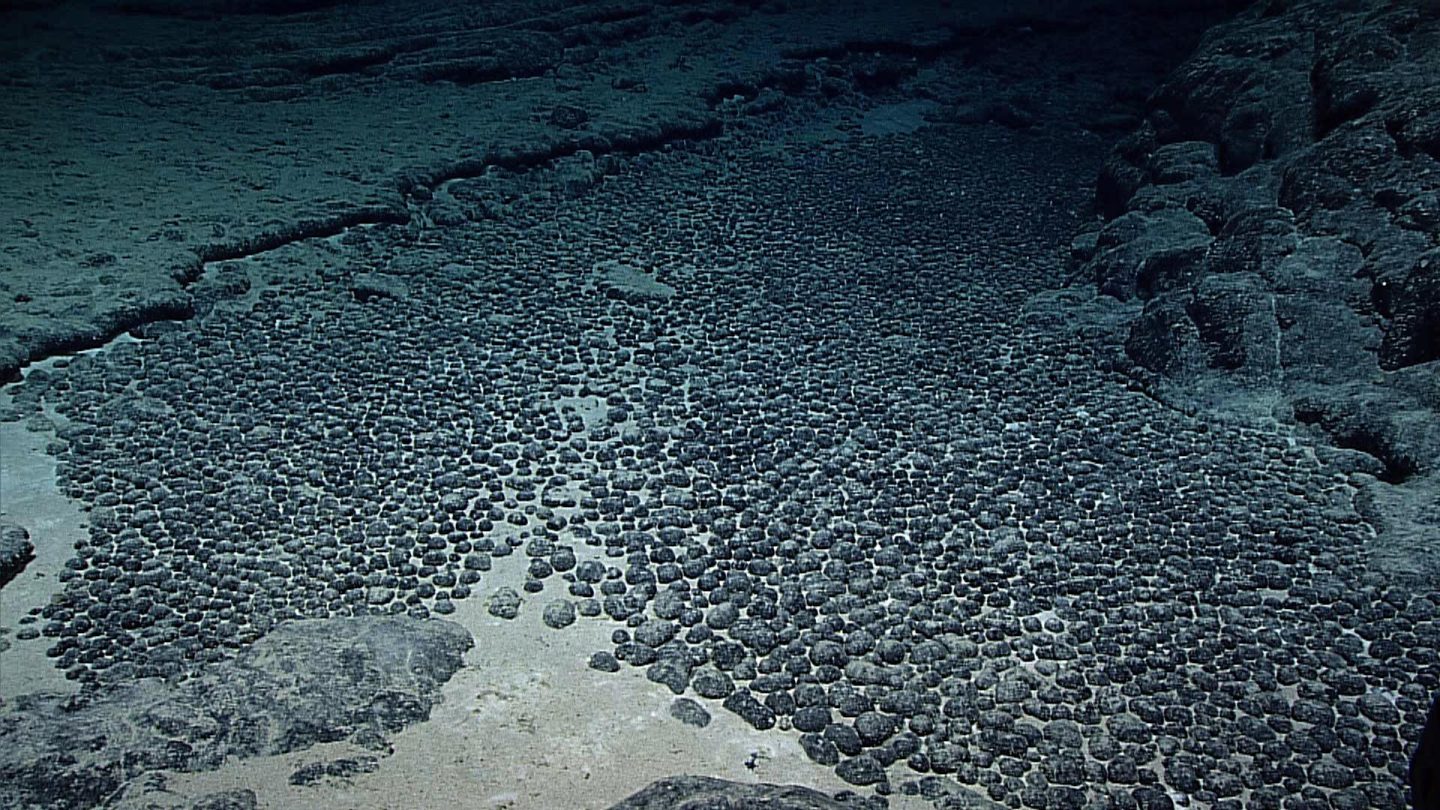 UN seabed regulator defends authority as mining firms seek to halt inquiry