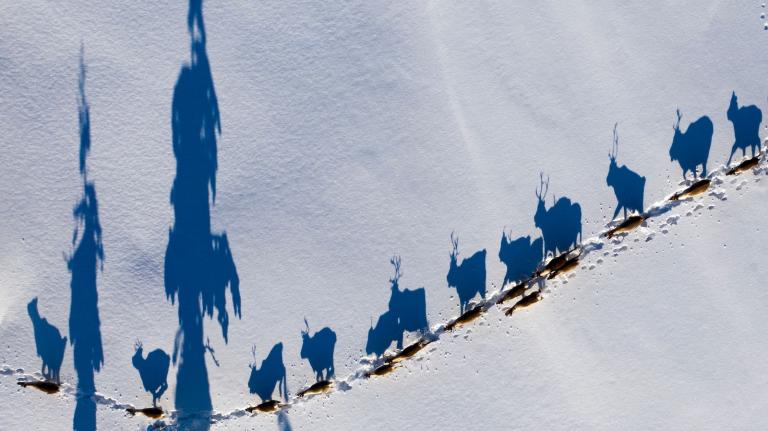 Indigenous leaders give the UN a roadmap for protecting their peoples