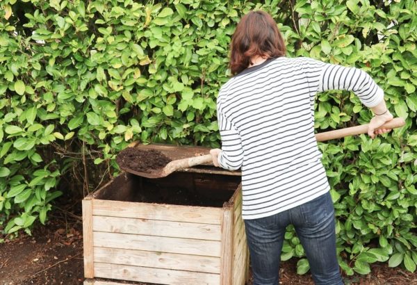 Cheat Sheet: Composting