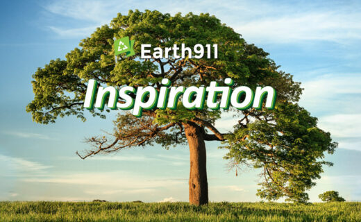 Earth911 Inspiration: What Provides Survives — Simon M. Lamb