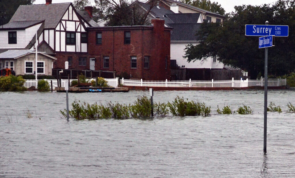 More Living Shorelines Could Come to States Bordering Chesapeake Bay If the Region’s Senators Get Their Way