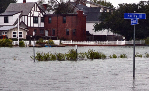More Living Shorelines Could Come to States Bordering Chesapeake Bay If the Region’s Senators Get Their Way
