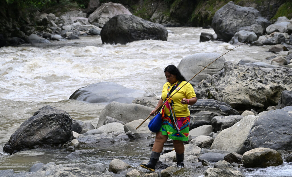 Rights of Nature Laws Are Coming Up Against Legal Systems Designed for Destruction