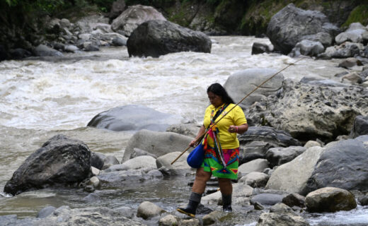 Rights of Nature Laws Are Coming Up Against Legal Systems Designed for Destruction