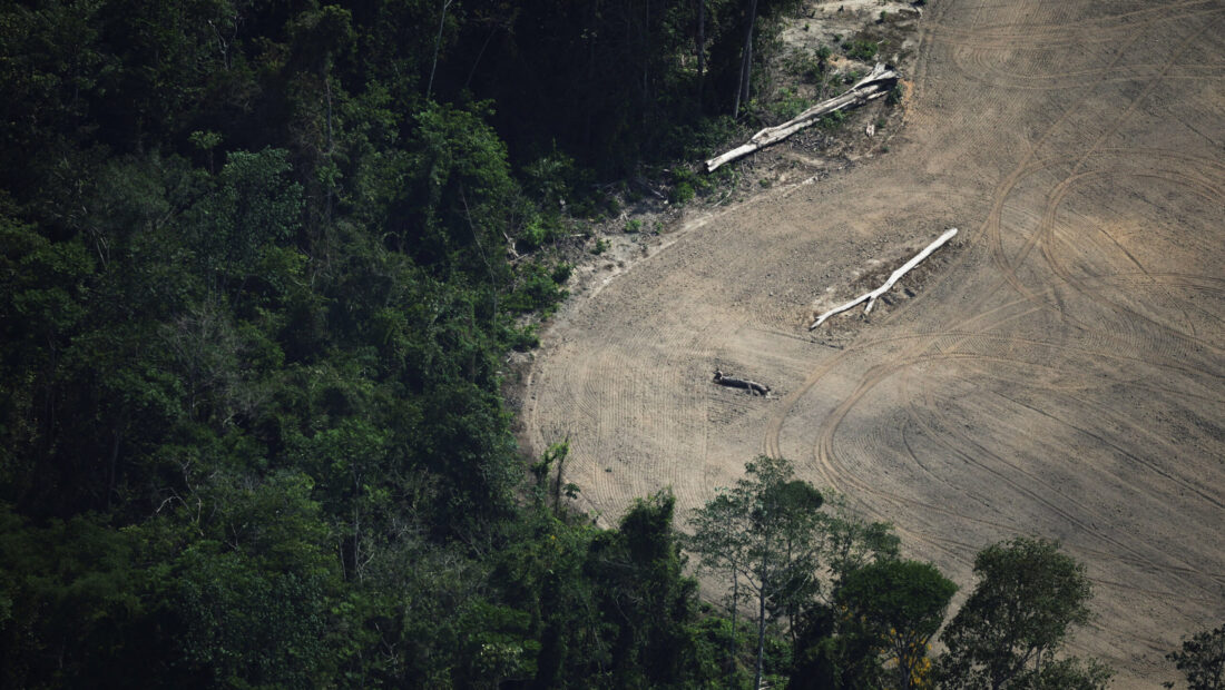 Tropical forest protection fund at risk after UK stalls on pledge