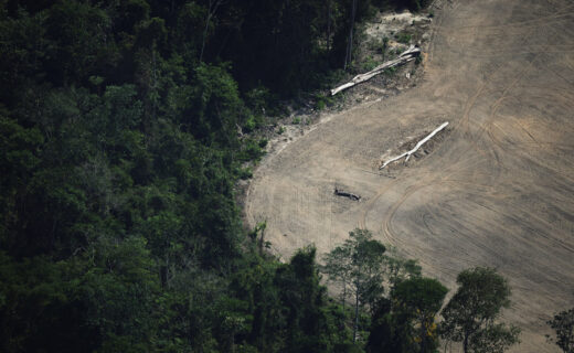 Tropical forest protection fund at risk after UK stalls on pledge