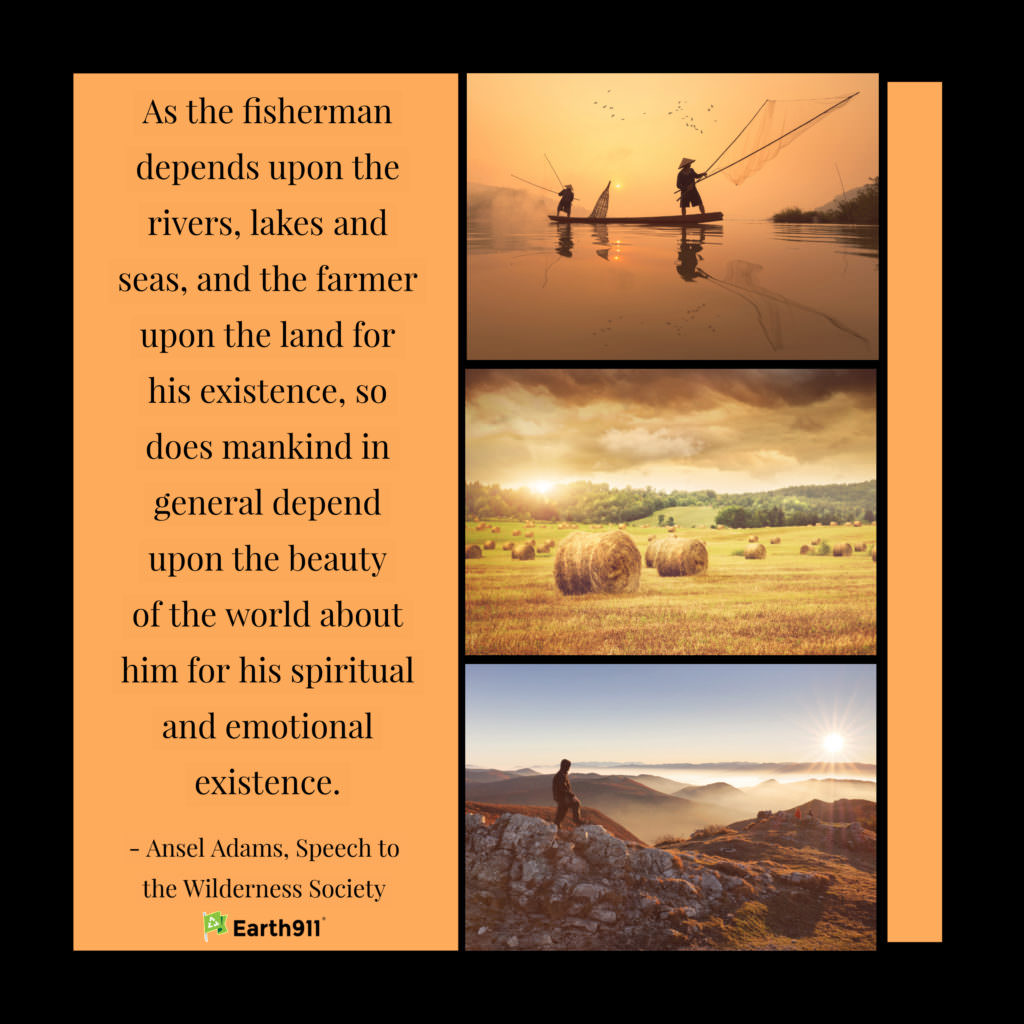 Earth911 Inspiration: Ansel Adams on Our Reliance on Nature