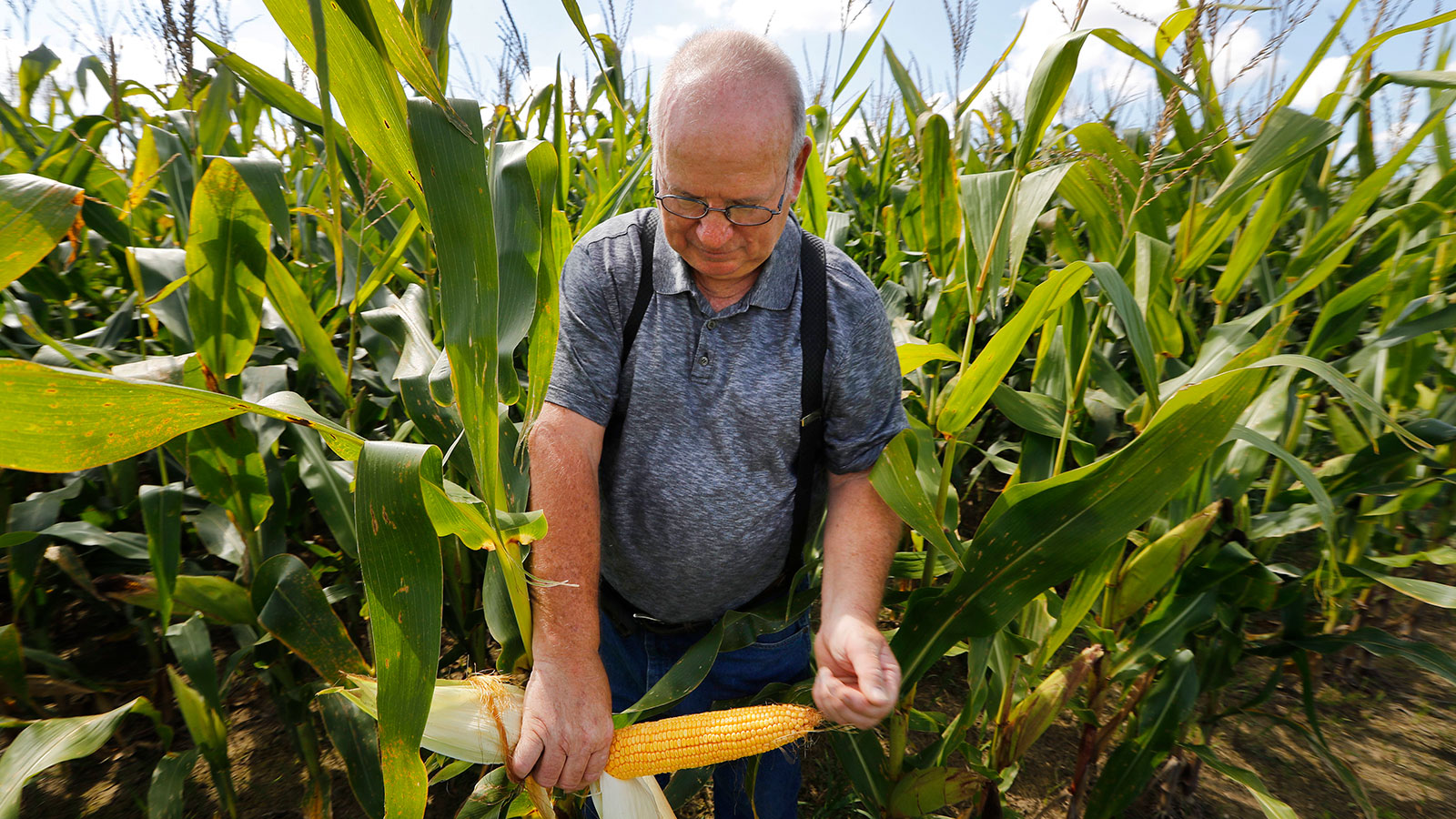 The link between Iowa corn and the dead zone in the Gulf