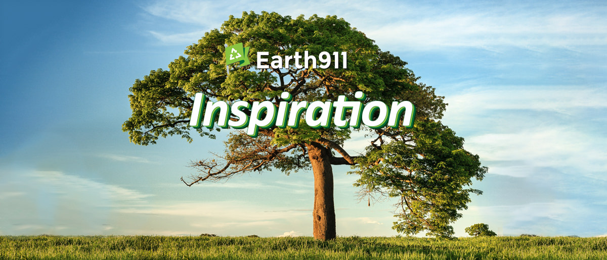 Earth911 Inspiration: Ansel Adams on Our Reliance on Nature
