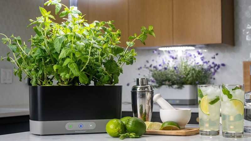 Anker SOLIX Mega Sale offers up to 48% power station discounts + one-day-only C1000X $399 off, AeroGarden, more