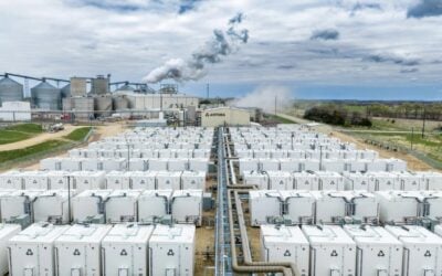 Samsung SDI on track with US LFP cell production, expects demand to outstrip production